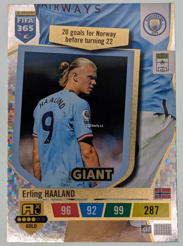 Erling Haaland 2023 FIFA 365