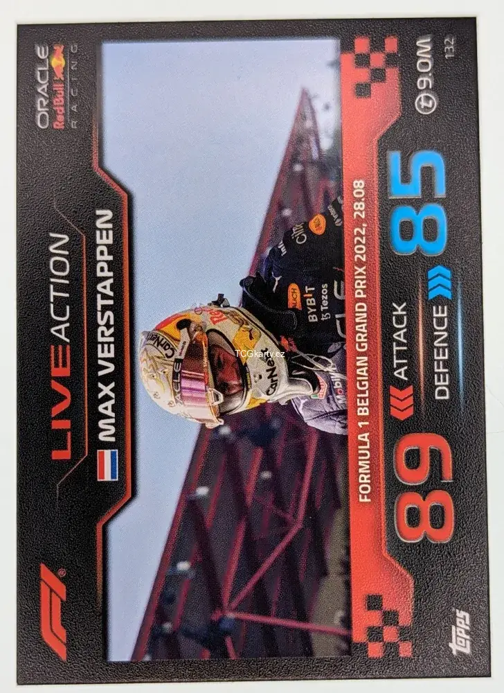 Max Verstappen - Live Action #132
