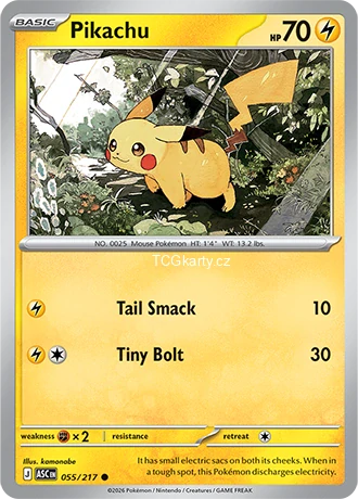 Pikachu - Ball Pattern - RH