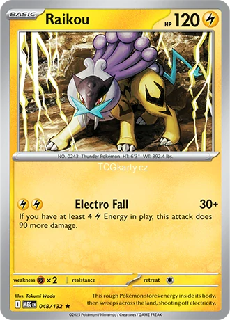 Raikou - Holo