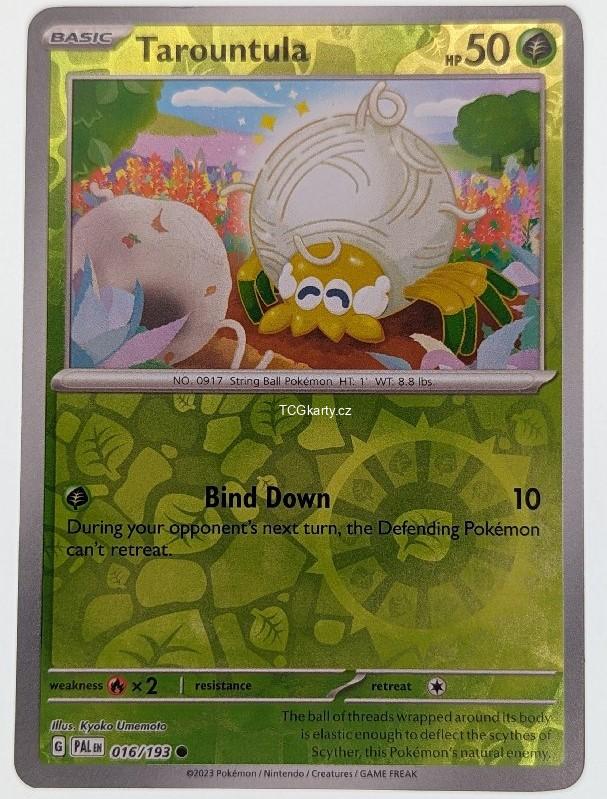 Tarountola Pal - Reverse Holo