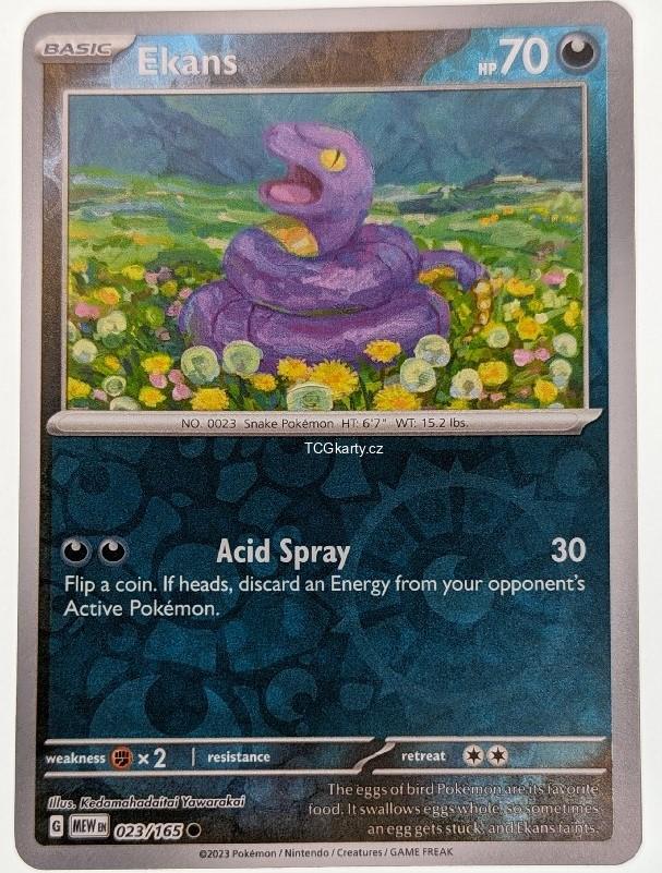 Elkans 151 - Reverse Holo