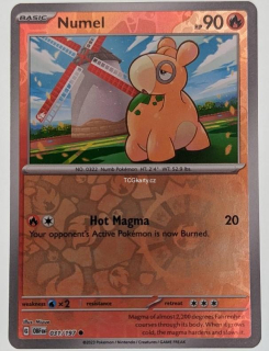 Beartic Obf - Reverse Holo