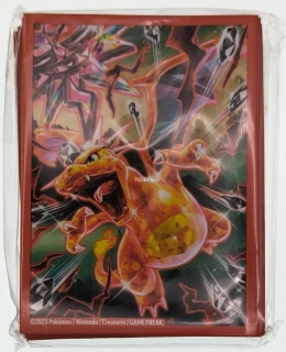 Sleeve - Charizard EX