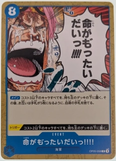 It's a Waste of Human Life!! (OP05-058)