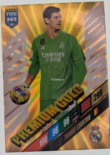 Thibaut Courtois 2024