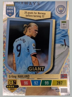 Erling Haaland 2023 FIFA 365