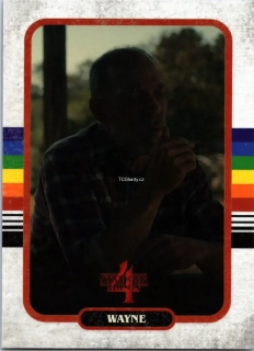 Wayne - #29
