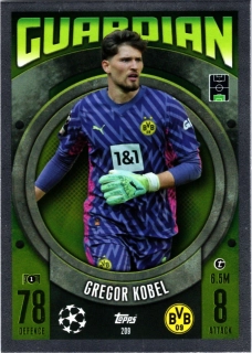 Gregor Kobel - Guardian
