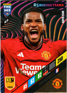 Willy Kambwala - Rising Stars