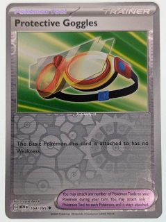 Protective Goggles 151 - Reverse Holo