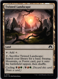 Twisted Landscape