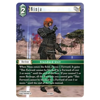 Ninja (23-049)
