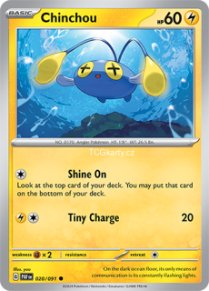 Chinchou Paf - Reverse Holo