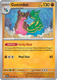 Gastrodon SSP - Holo