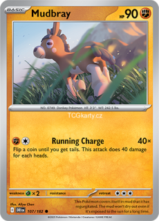 Mudbray DRI - Reverse Holo