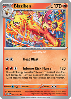 Blaziken DRI - Holo