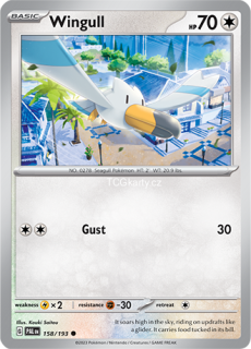Wingull Pal - Reverse Holo