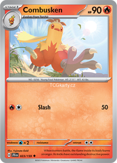 Combusken - Reverse Holo