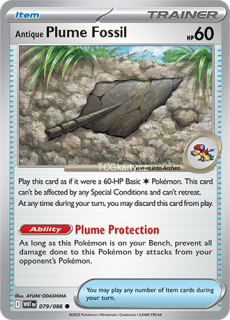Antique Plume Fosil - Reverse Holo