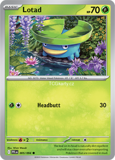 Lotad - Reverse Holo