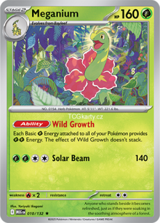 Meganium - Holo