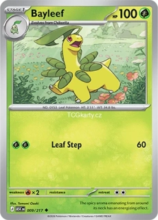 Bayleef - Energy Pattern - RH