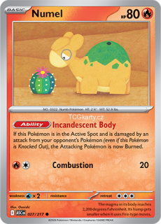 Numel - Ball Pattern - RH