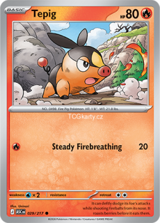 Tepig - Energy Pattern - RH