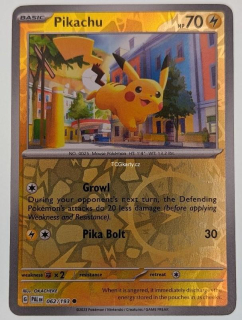 Pikachu Pal - Reverse Holo