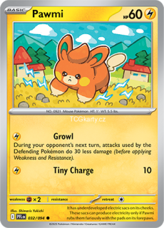 Pawmi - Reverse Holo