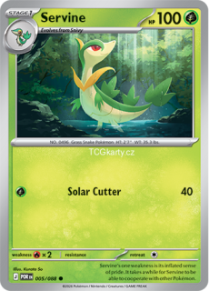 Servine - Reverse Holo