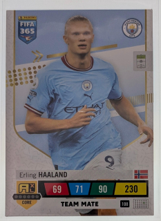 Erling Haaland - 2023 FIFA 365