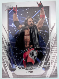 AJ Styles #47