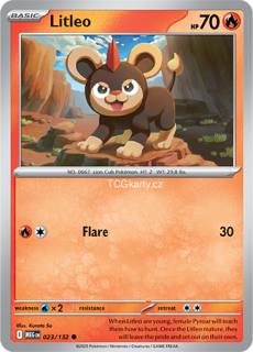 Litleo - Reverse Holo
