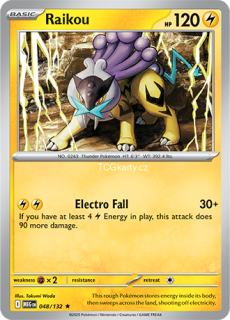 Raikou - Holo