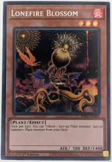 Lonefire Blossom - Yu-Gi-Oh