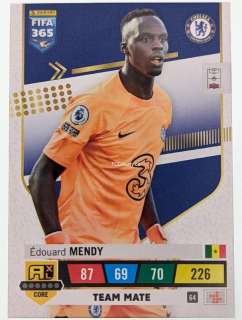 Edouard Mendy - Team Mate