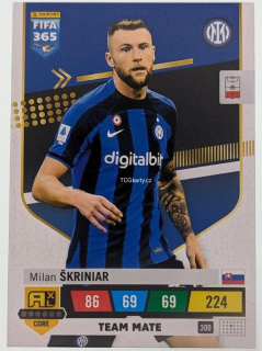 Milan Škriniar - Team Mate
