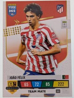 Joao Felix - Team Mate