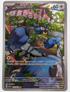 Rookidee Pal - Illustration Rare
