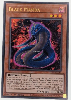 Black Mamba - BLMR-EN019